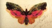 Albert Bierstadt Butterfly USA oil painting artist